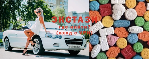 ECSTASY Богородск